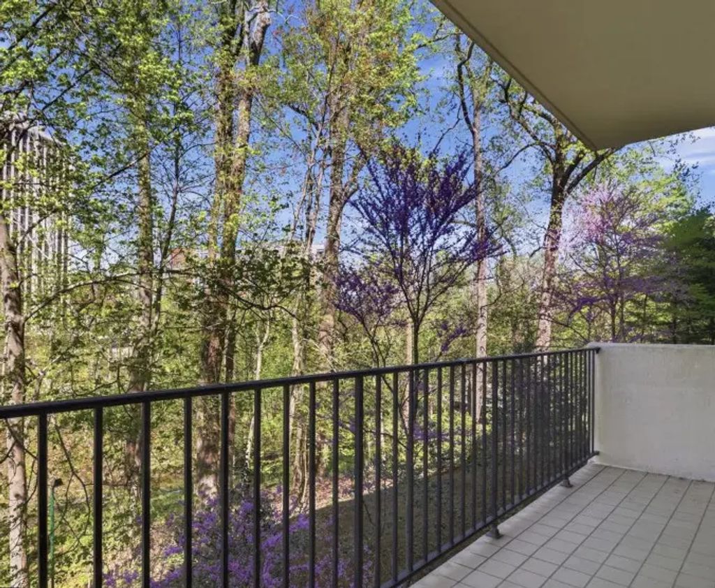 8101 Connecticut Avenue N304, Chevy Chase