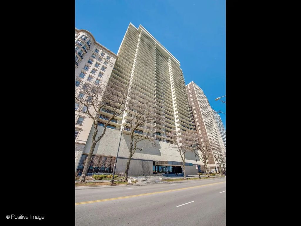 1212 N Lake Shore Drive 16cs, Chicago, 60610