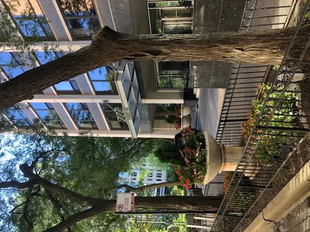 222 E Pearson Street 803, Chicago
