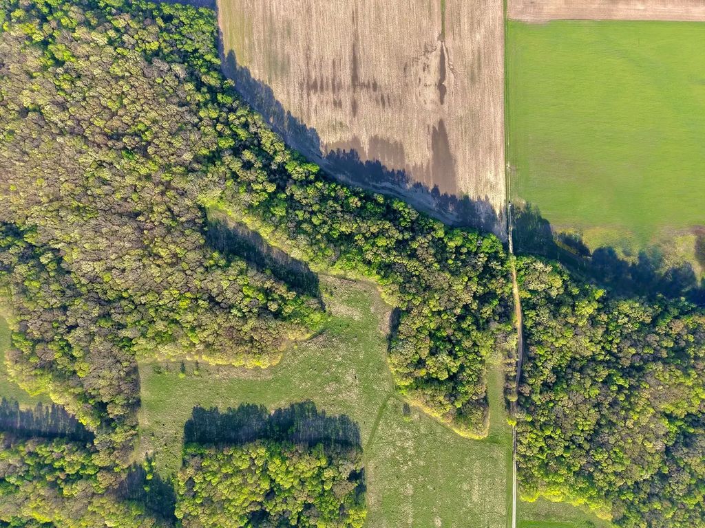 County Road 3175, Cowden