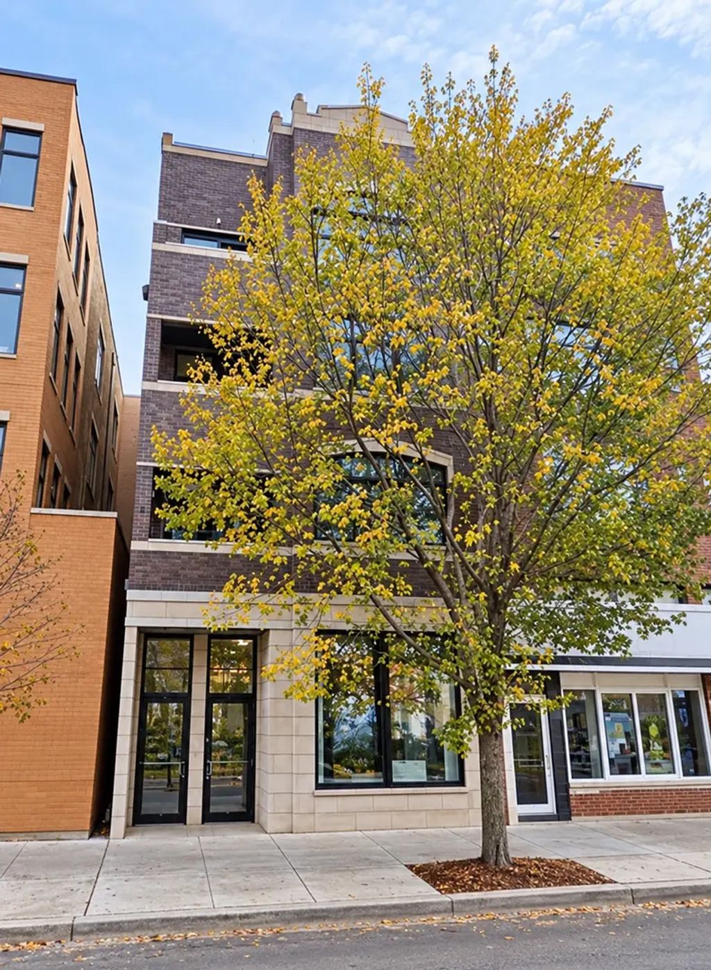 1109 W Belmont Avenue 4, Chicago