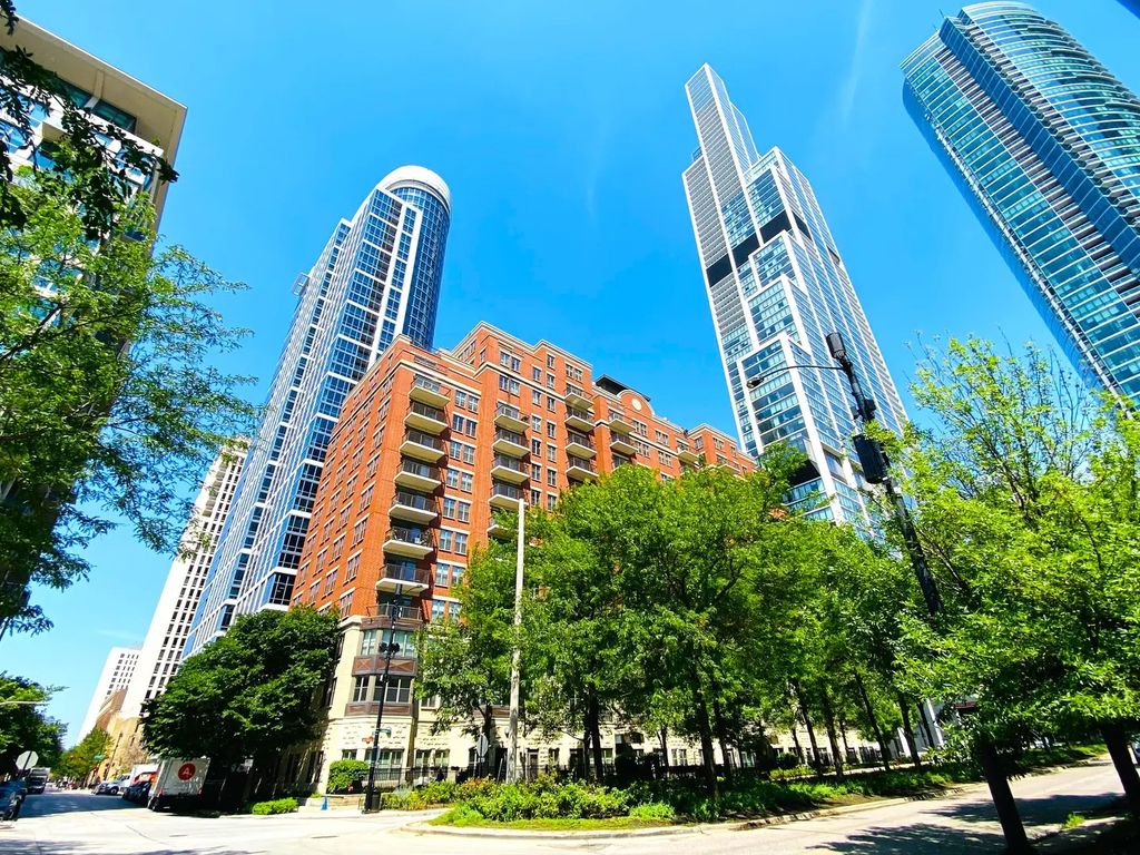1250 S Indiana Avenue 308, Chicago