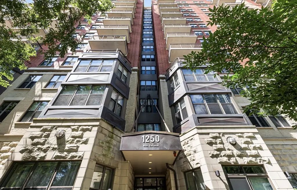 1250 S Indiana Avenue 1303, Chicago