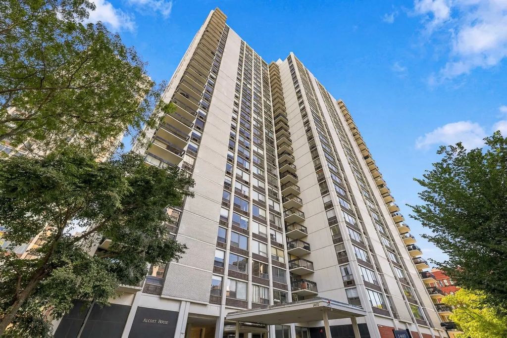 1460 N Sandburg Terrace 1110, Chicago