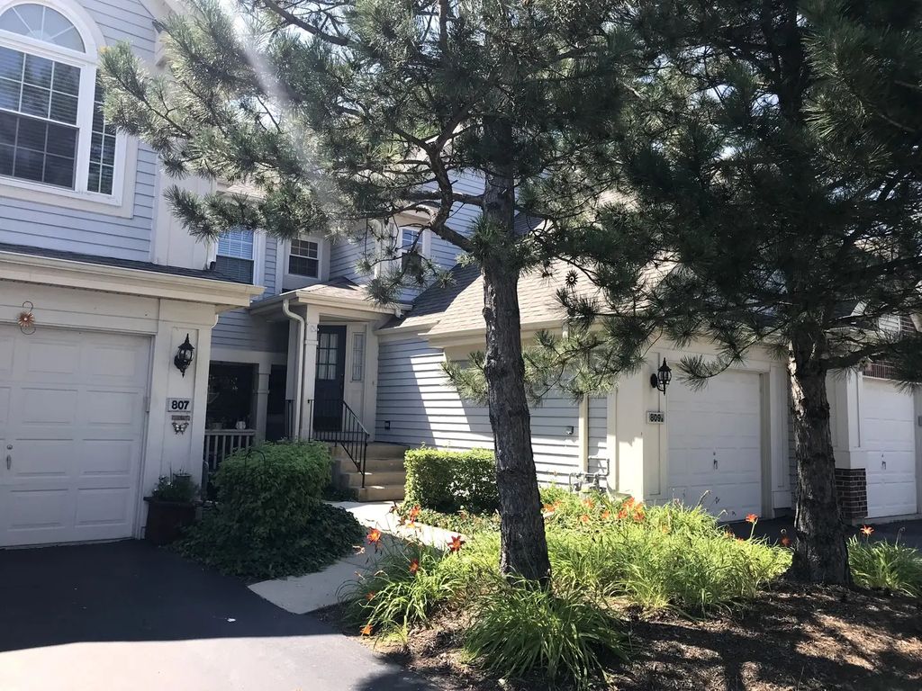 809 Spring Creek Court A, Elk Grove Village