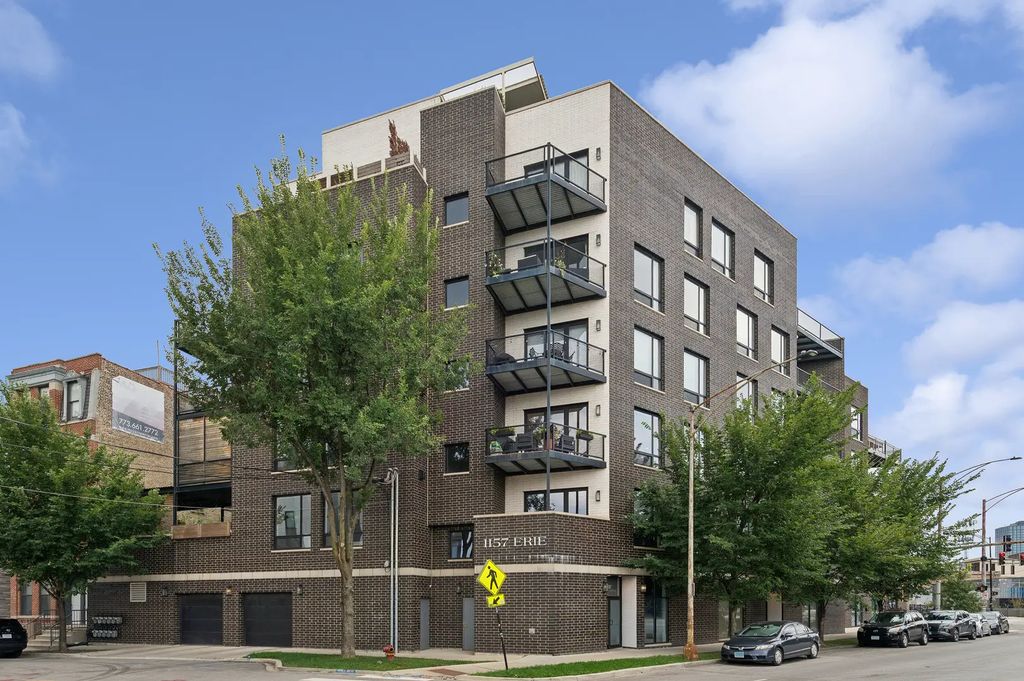1157 W Erie Street 3w, Chicago