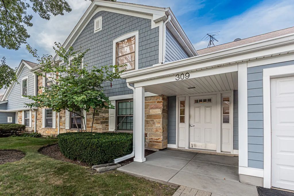 309 Maplewood Court D1, Schaumburg