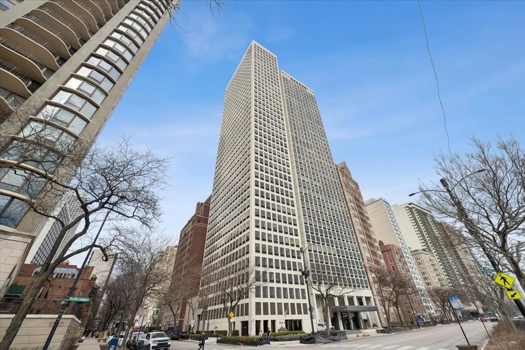 1100 N Lake Shore Drive 7b, Chicago, 60611