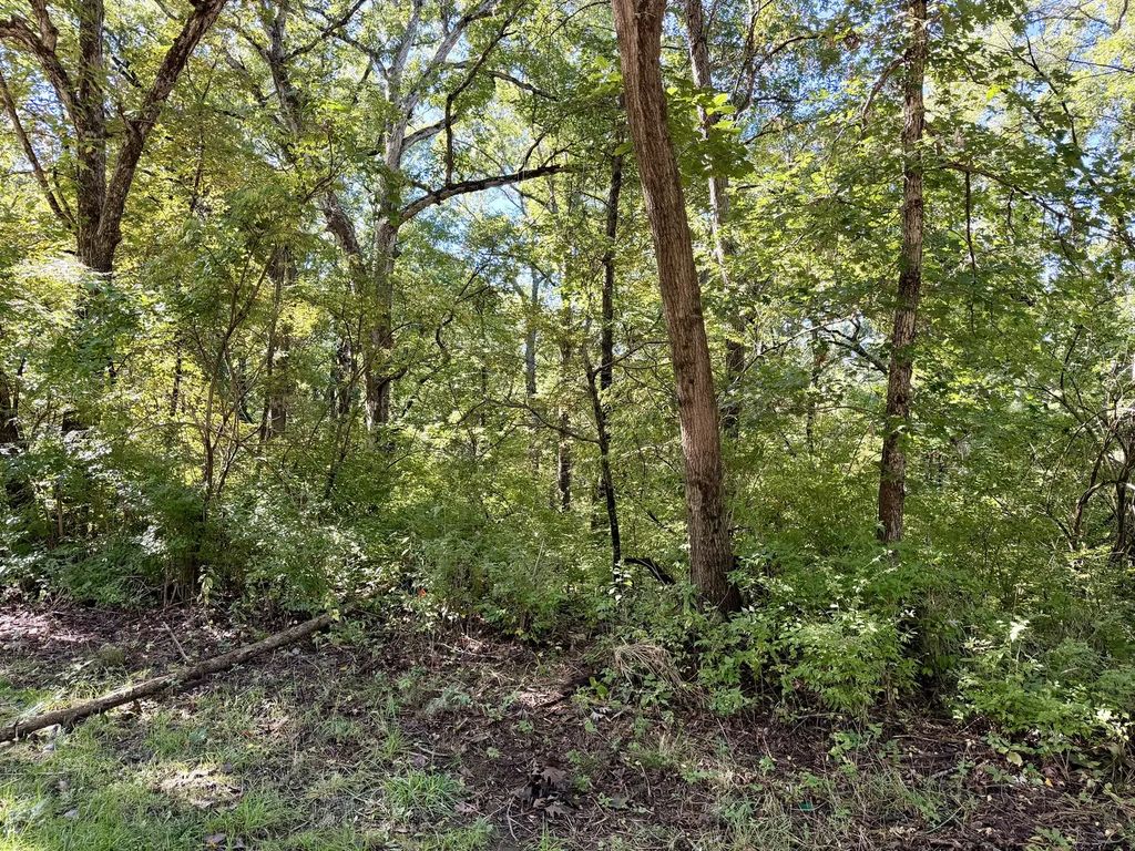 809 Missouri Drive, Dixon
