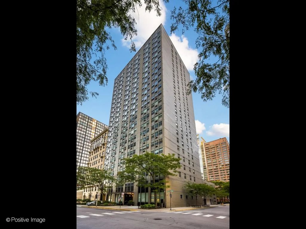 253 E Delaware Place 18ab, Chicago