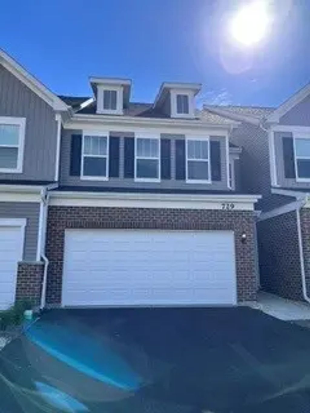 729 Dropseed Lane 75002, Bolingbrook