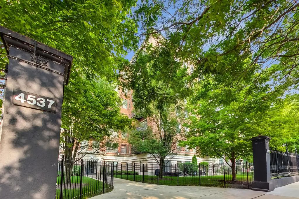 4537 S Drexel Boulevard 409, Chicago