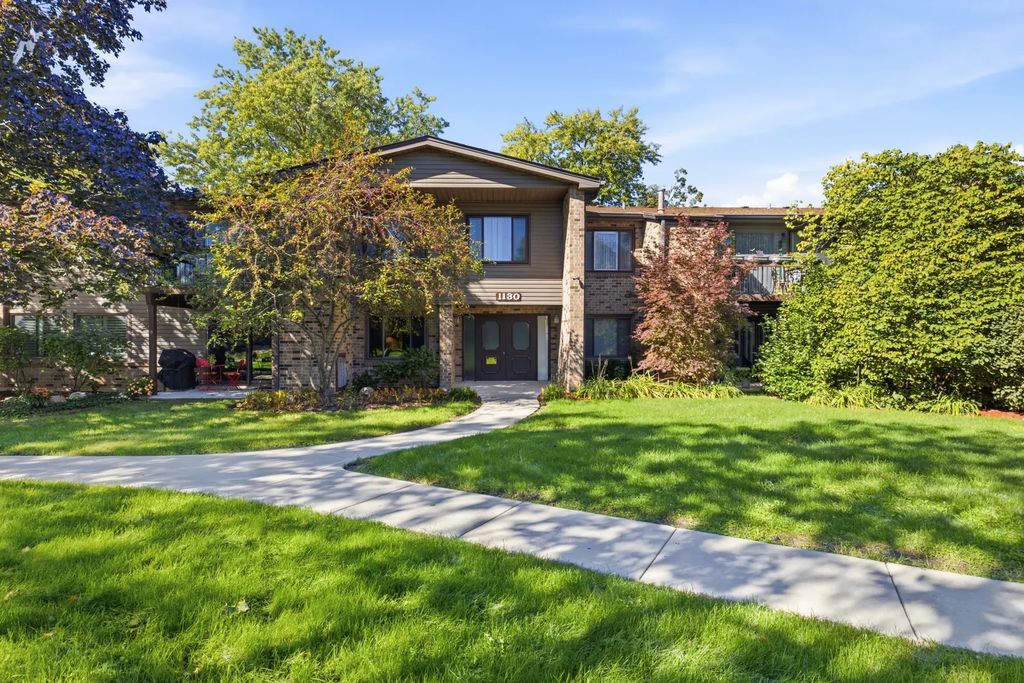1130 E Randville Drive 1b, Palatine