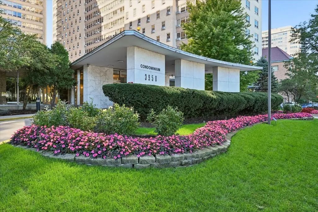 3950 N Lake Shore Drive 703, Chicago, 60613
