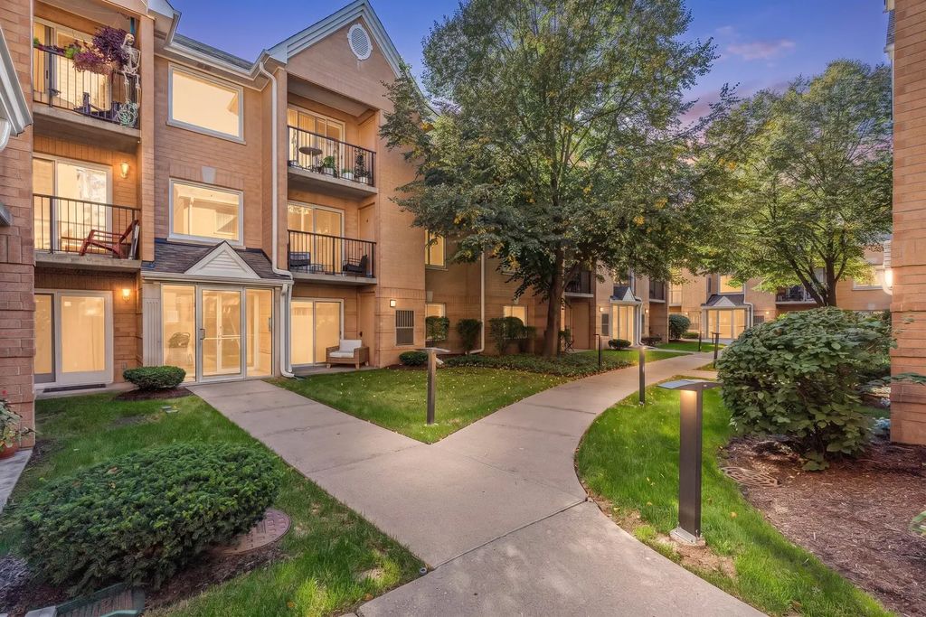 8700 W Evelyn Lane 204, Chicago