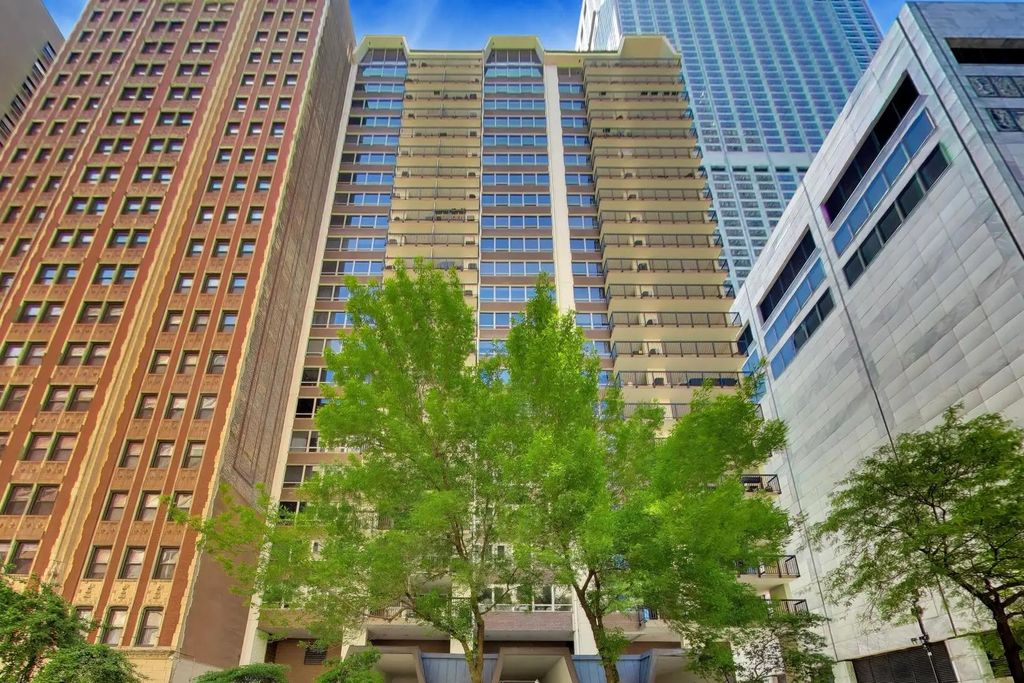 201 E Chestnut Street 8b, Chicago