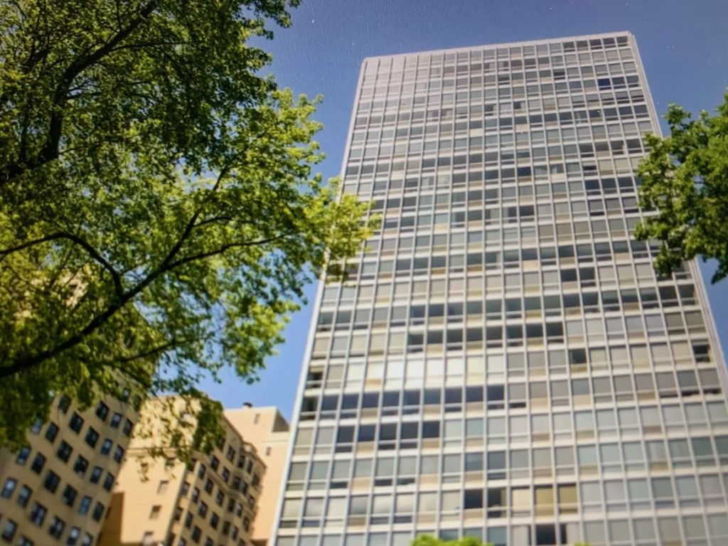 2400 N Lakeview Avenue 1109, Chicago