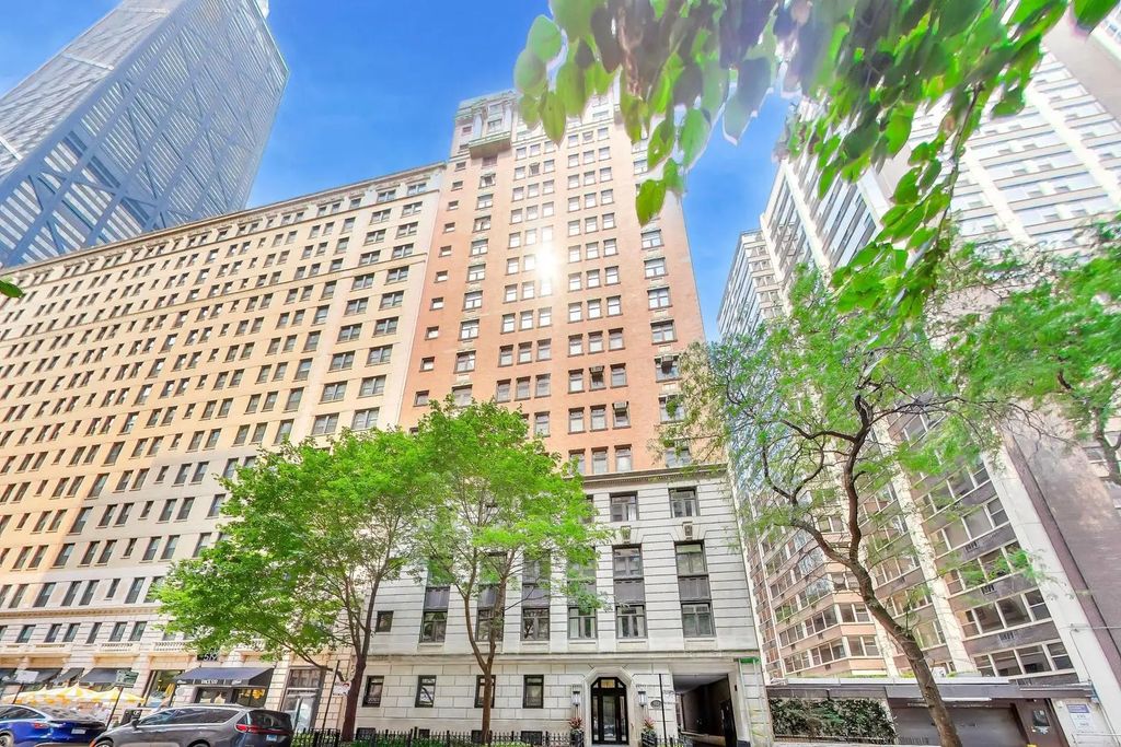 222 E Chestnut Street 9d, Chicago
