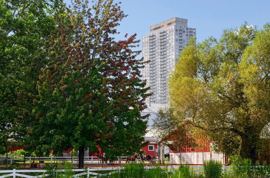 2020 N Lincoln Park West 9j, Chicago