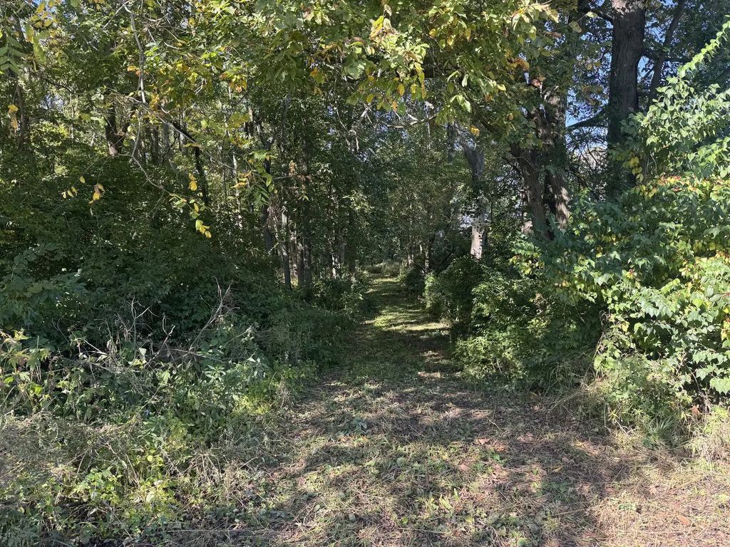 21 County Road 500 E, Sadorus