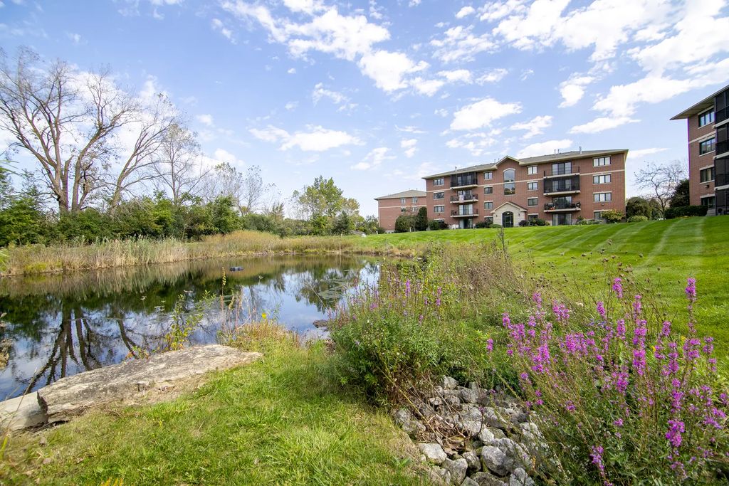 6840 W Winding Trail 301, Oak Forest