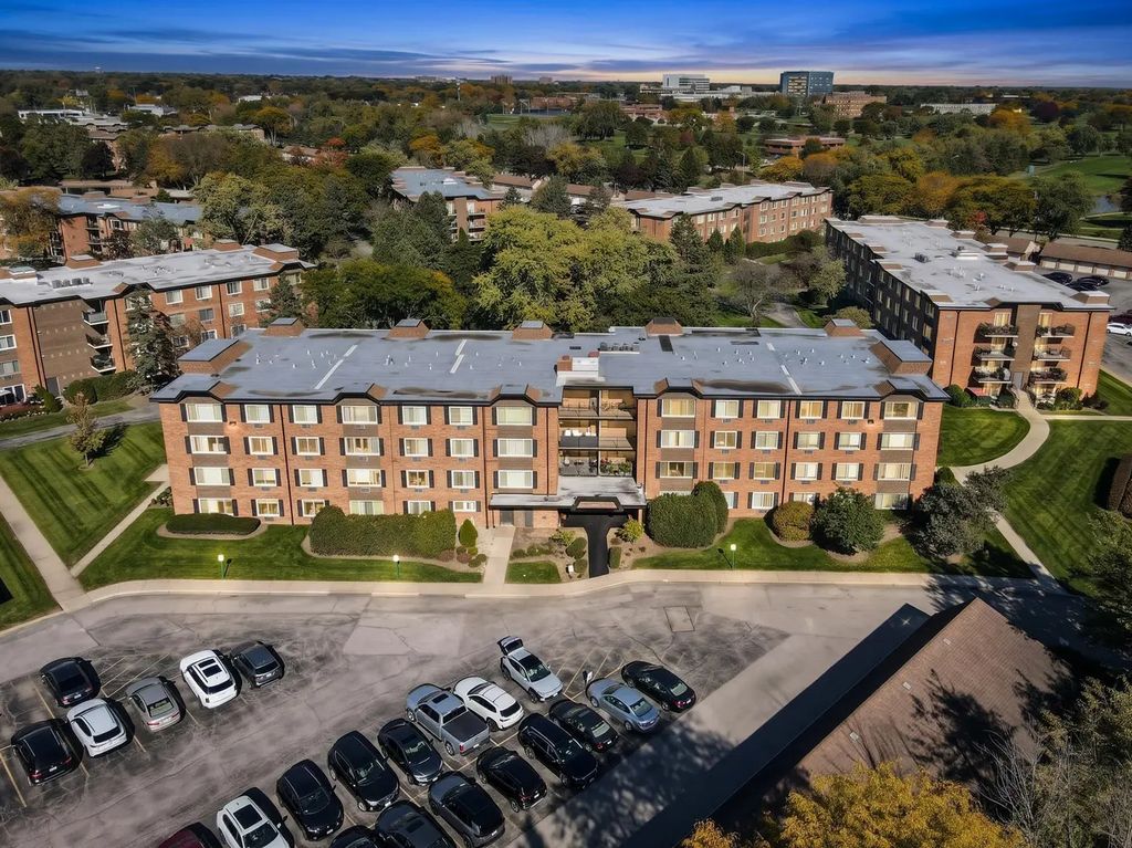 1227 S Old Wilke Road 206, Arlington Heights