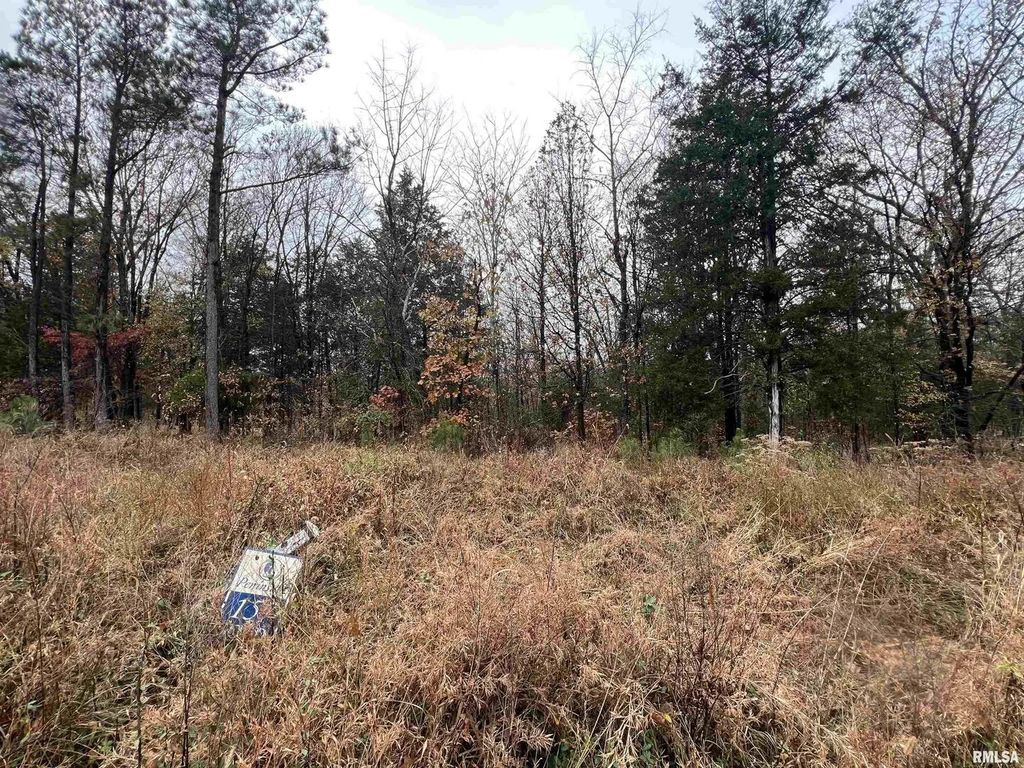 Lot 157 Parrish Ridge Lane, Goreville