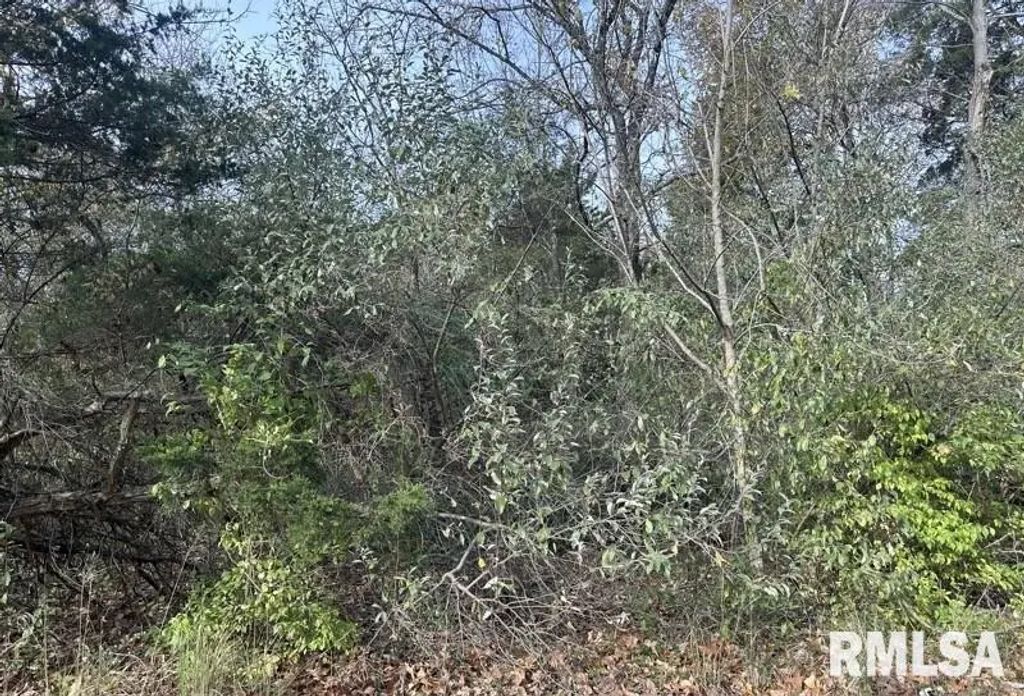 Lot 177 Sycamore Street, Goreville