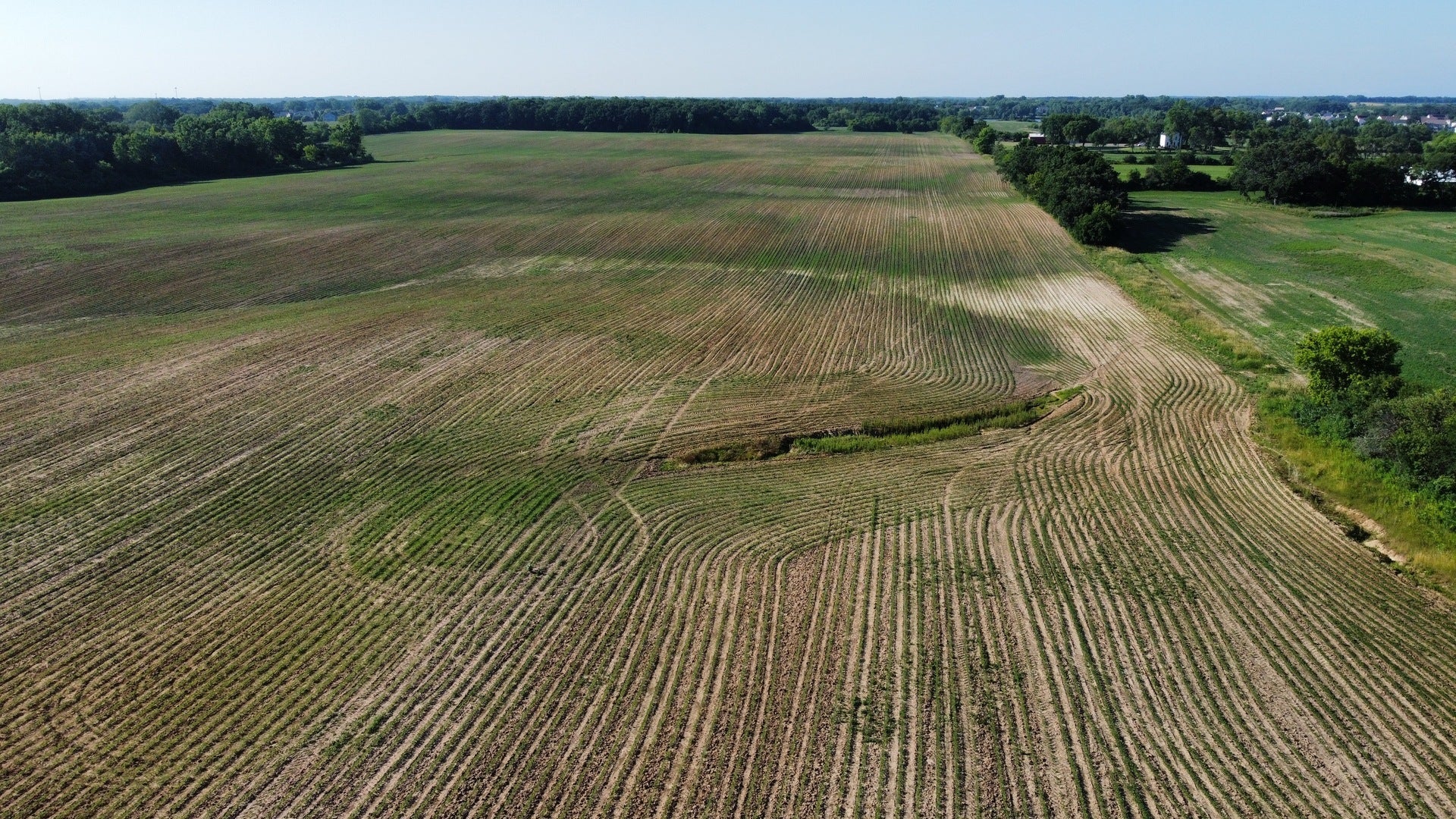 Photo of Listing #12483197