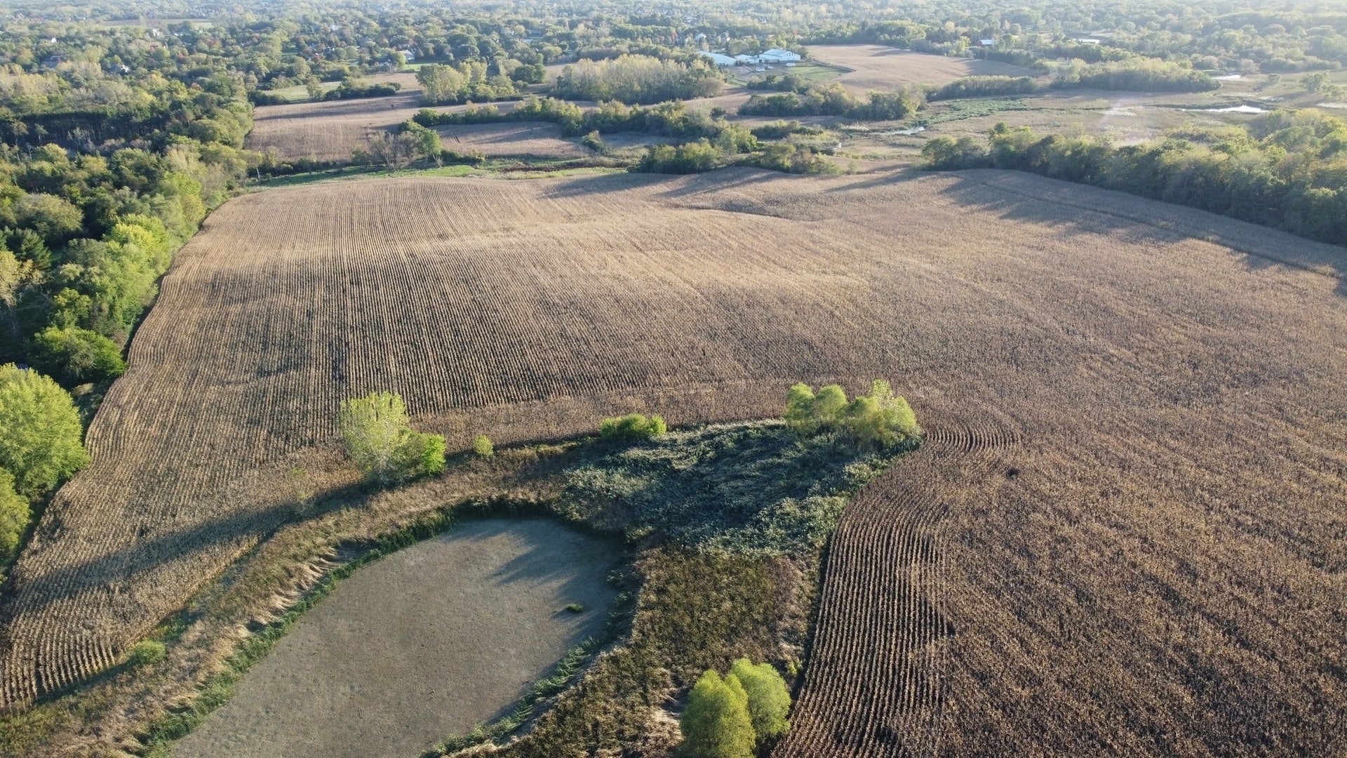 Photo of Listing #12483604