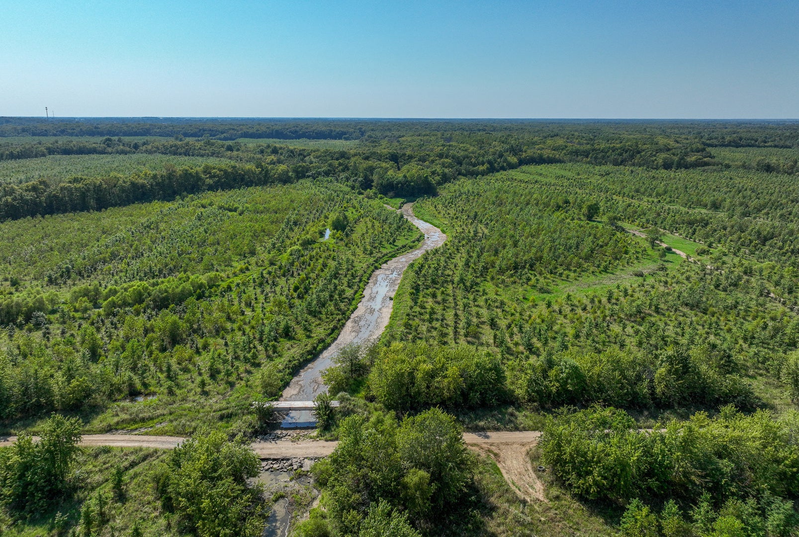 Photo of Listing #12152054