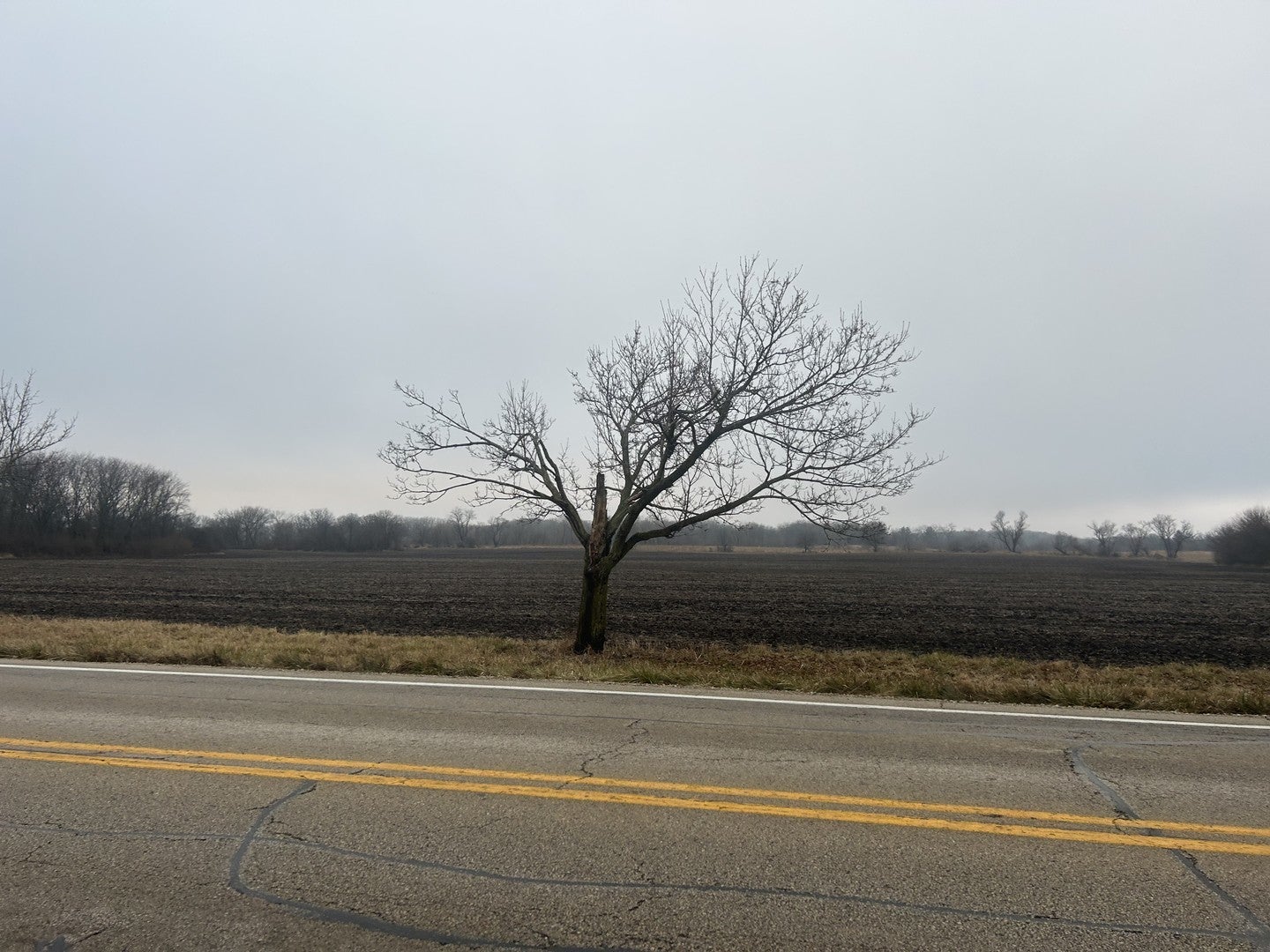 Photo of Listing #12265861