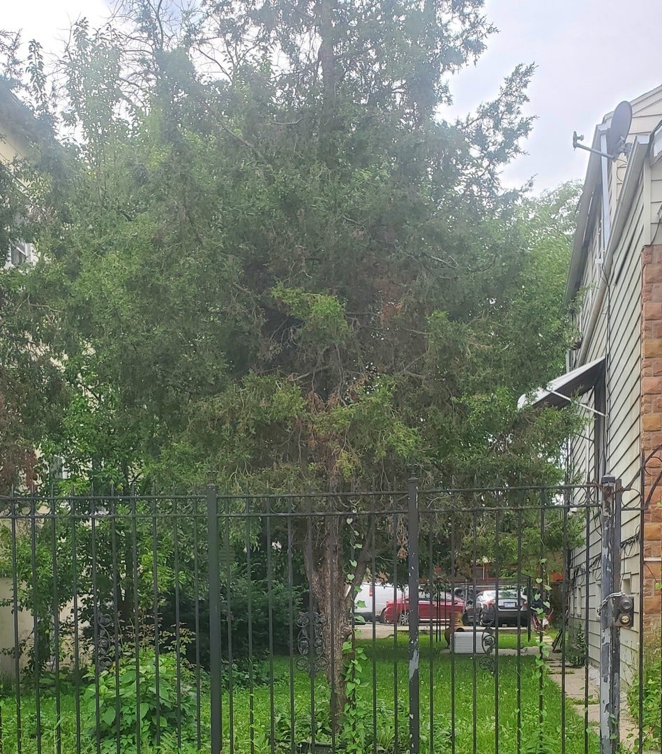 1748 North Harding Avenue, Chicago