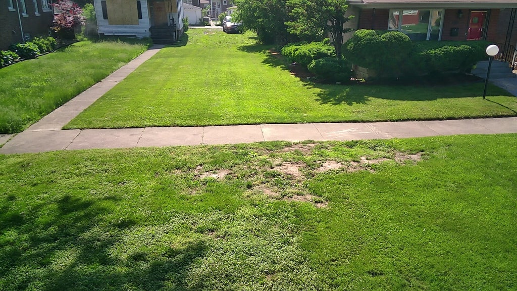 7736 South Indiana Avenue, Chicago