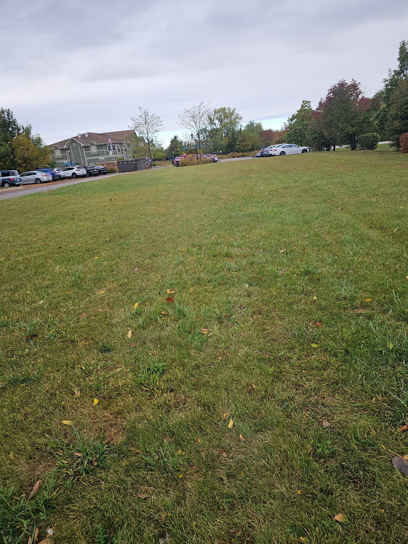 3981 Old Mchenry Road, Long Grove