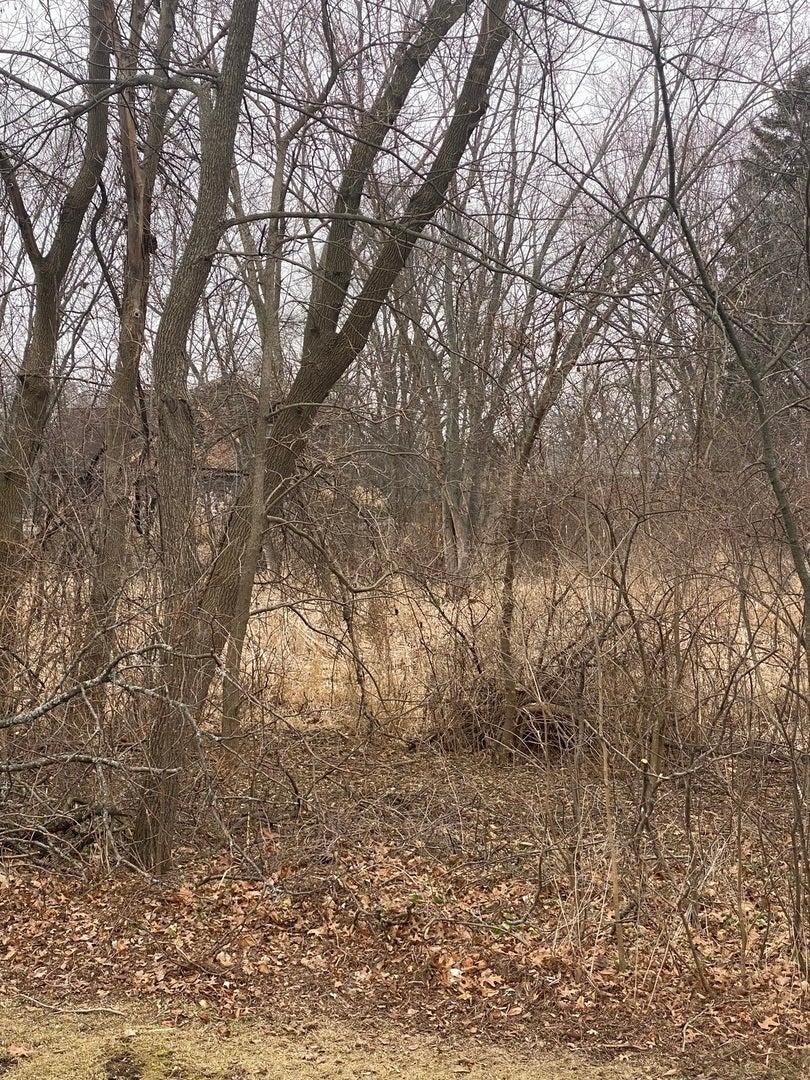 21177 North Valley Road, Kildeer