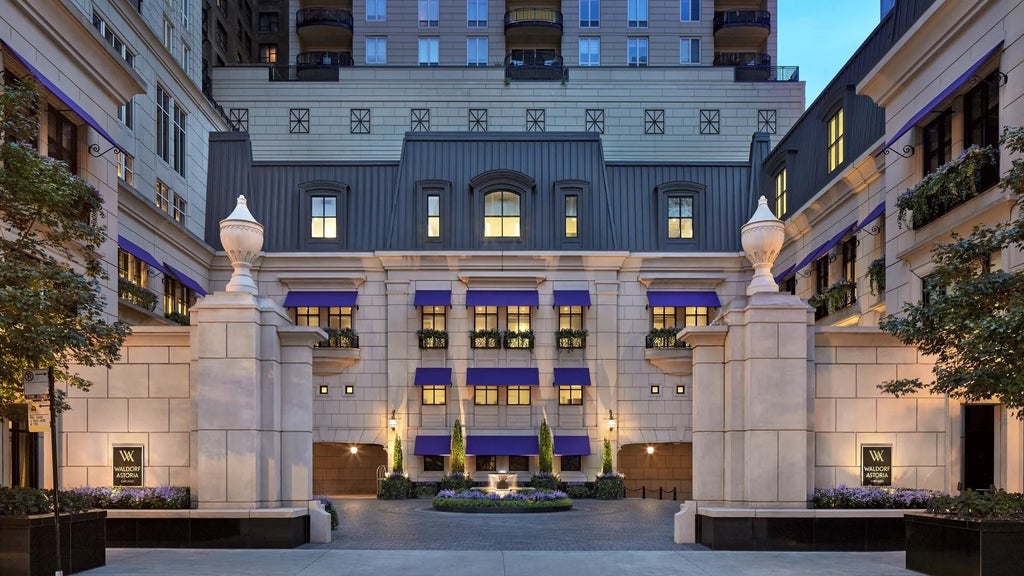 11 East Walton Street 3101, Chicago, 60611