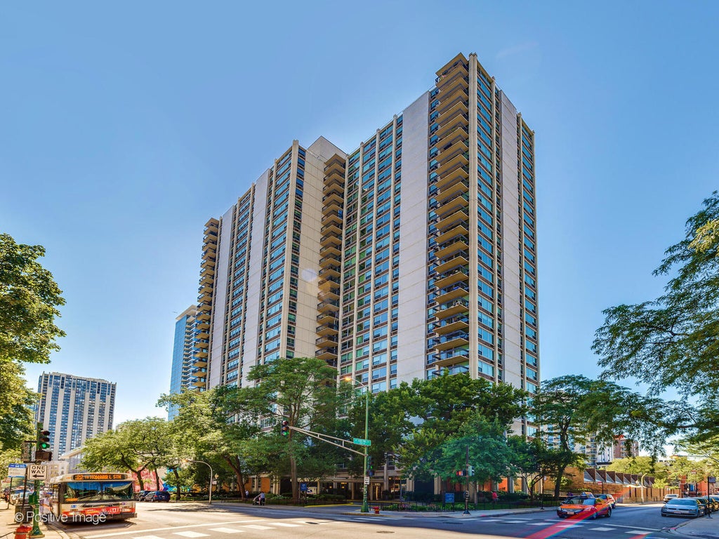 1255 North Sandburg Terrace 504, Chicago, 60610