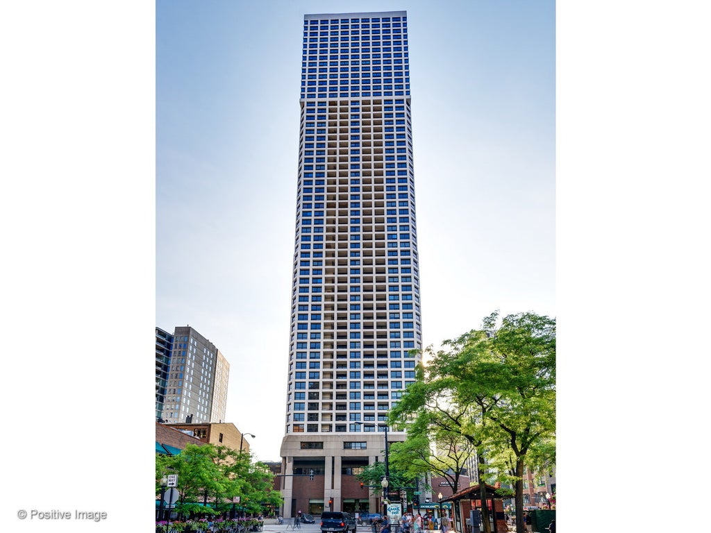 1030 North State Street 28m, Chicago, 60610