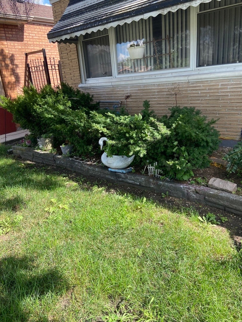 2321 West 81st Place, Chicago, 60620