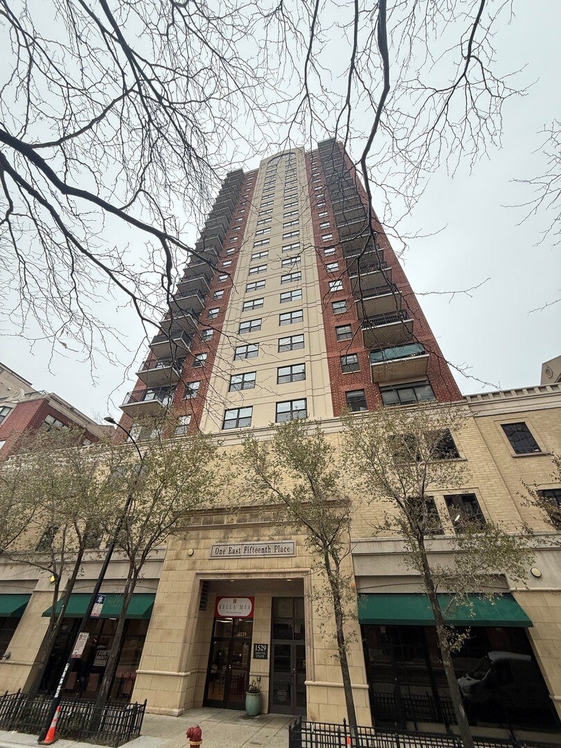 1529 South State Street 8b, Chicago, 60605