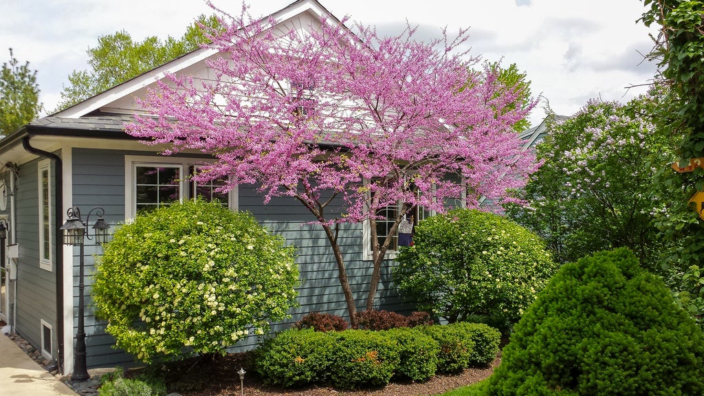 22w474 Emerson Avenue, Glen Ellyn