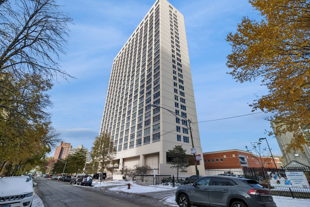 5201 South Cornell Avenue 3e, Chicago, 60615