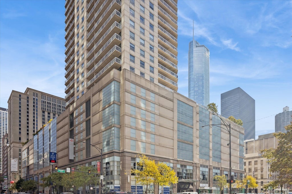 545 North Dearborn Street 3206, Chicago, 60654