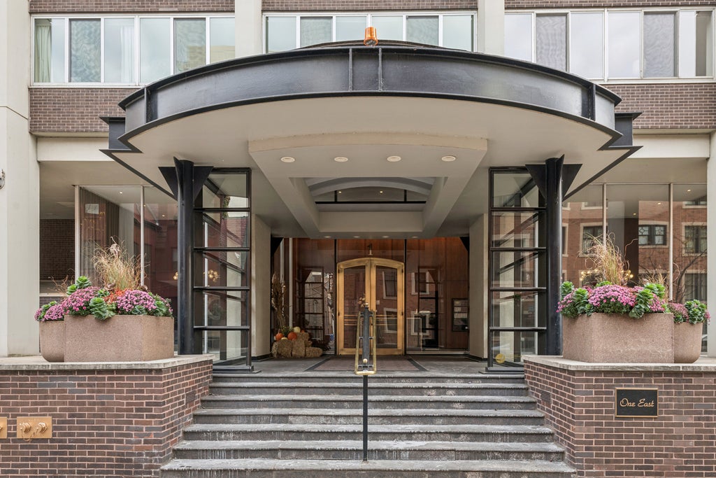 1 East Schiller Street 4b, Chicago, 60610