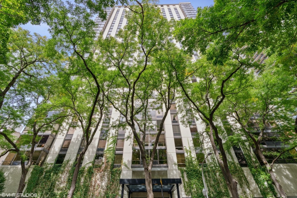 100 East Bellevue Place 30c, Chicago, 60611