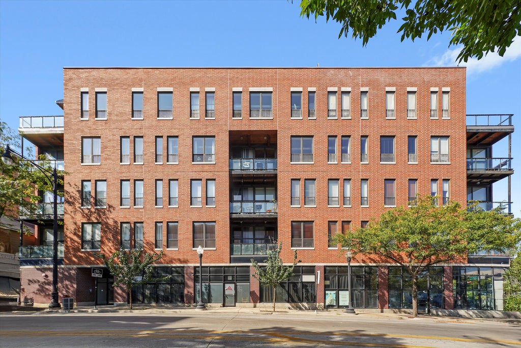 1610 South Halsted Street 504, Chicago