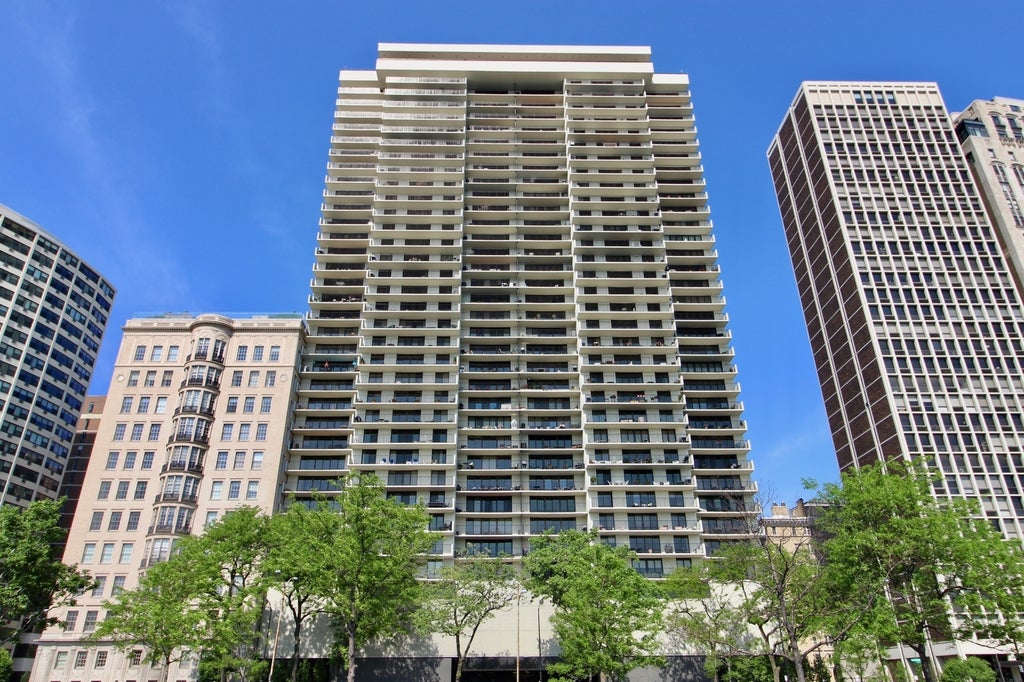 1212 North Lake Shore Drive 11cs, Chicago, 60610