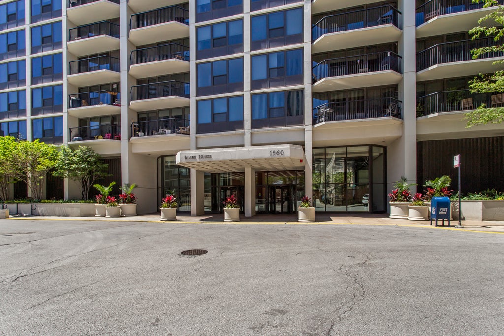 1560 North Sandburg Terrace 4011j, Chicago, 60610