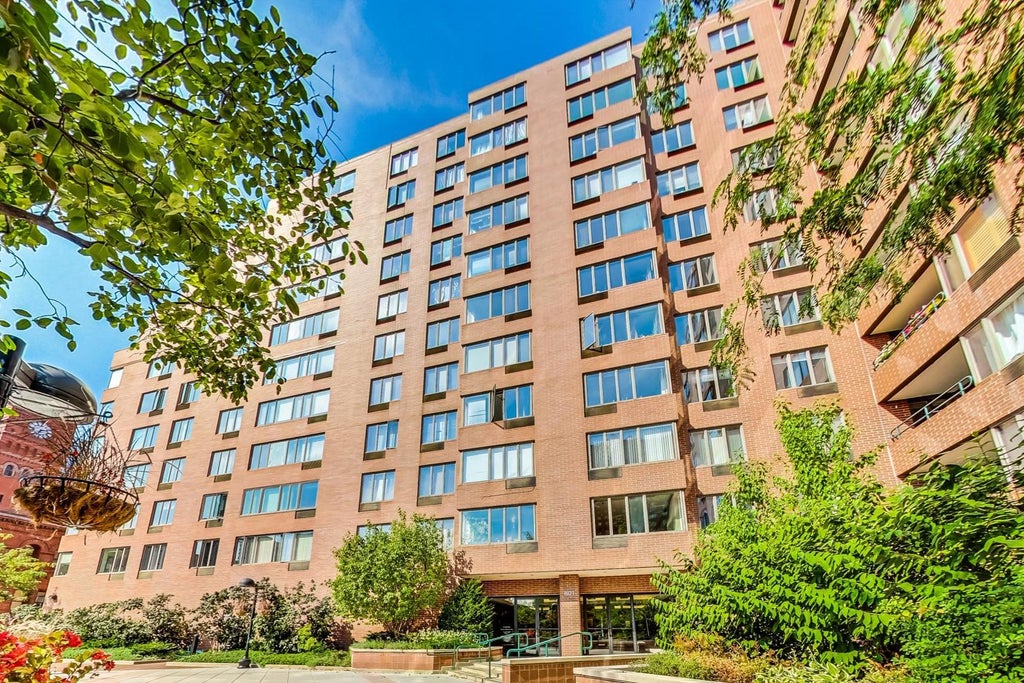 801 South Plymouth Court 711, Chicago, 60605